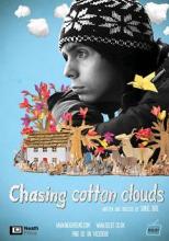Chasing cotton