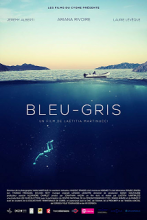 Bleu-Gris