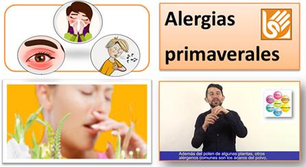 Alergias primaverales [en lengua de signos española]