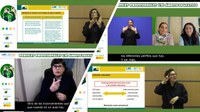 Perfiles profesionales relacionados con la lengua de signos española en el ámbito educativo [vídeos]