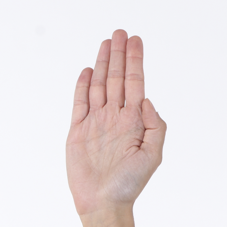 48.png